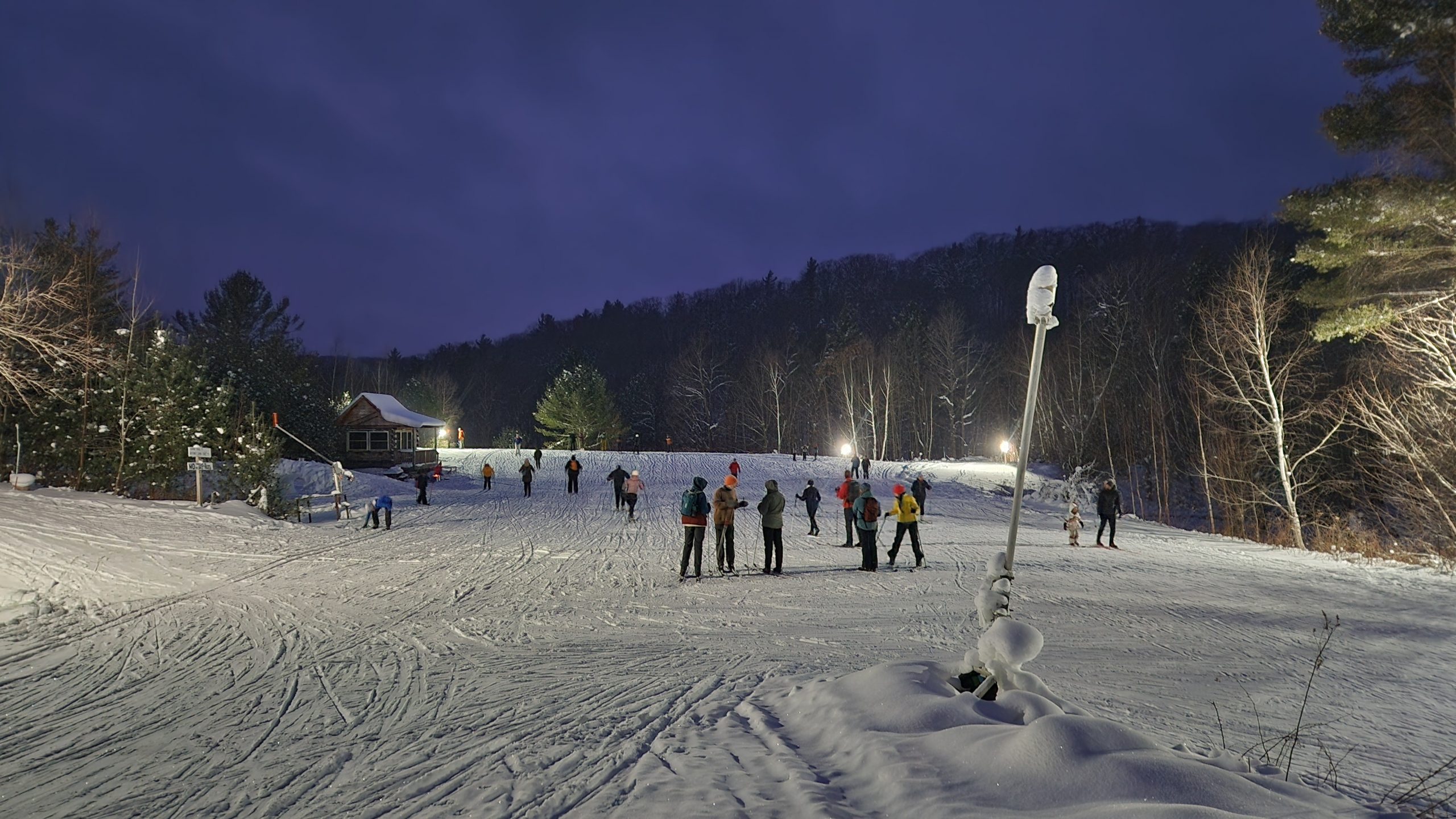 Skiers enjoying some night skiing in the meadow.